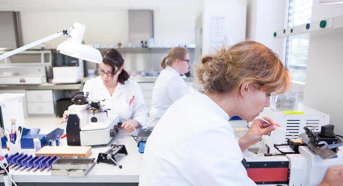 Stellenangebote Institut für Pathologie